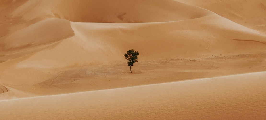 Encart Maroc épure