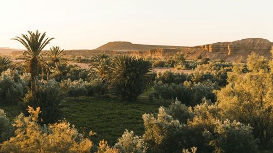 Voyager au Maroc