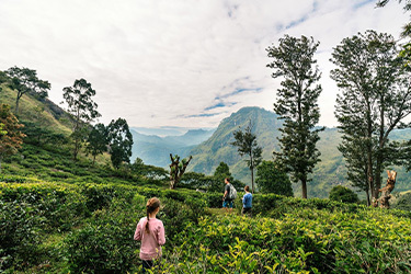 Voyage au Sri Lanka en famille