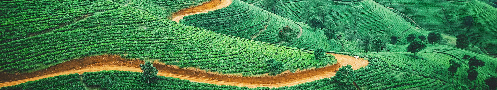 Voyage Nature au Sri Lanka