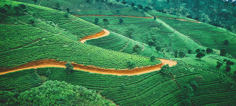 Voyage Nature au Sri Lanka