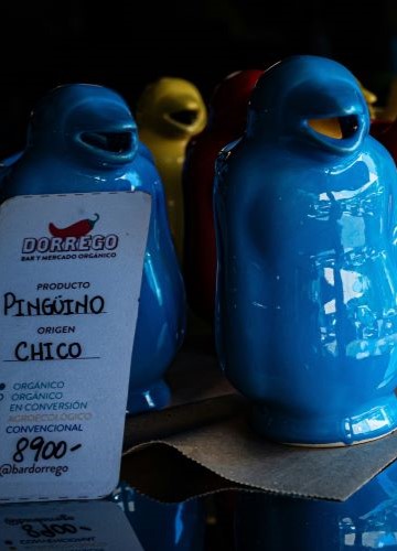 Pinguinos argentins