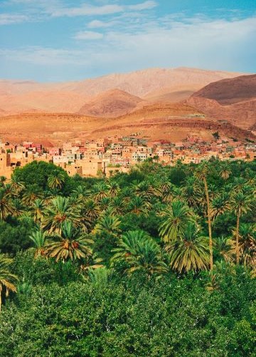 oasis desert Maroc
