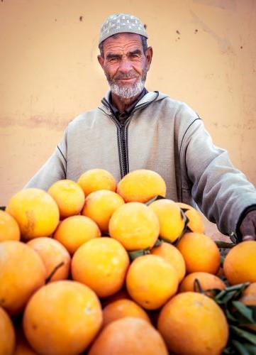Agrumes au Maroc