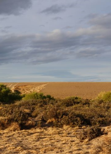 Steppes Argentine