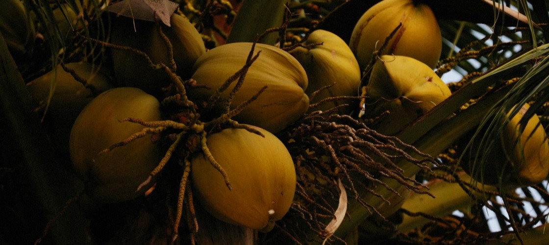 $tag_bloc_hermes[$cptHerm]->alt