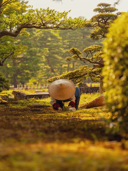 Coup de coeur Kanazawa