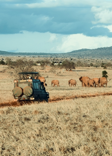Sécurité en Tanzanie
