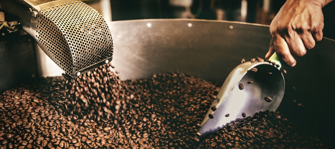Grains de café au Costa Rica