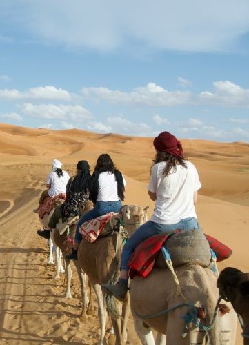 Sahara désert dromadaire