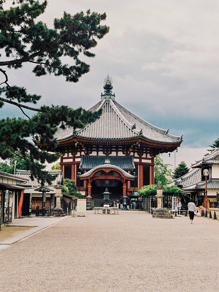 Coup de coeur OKINAWA