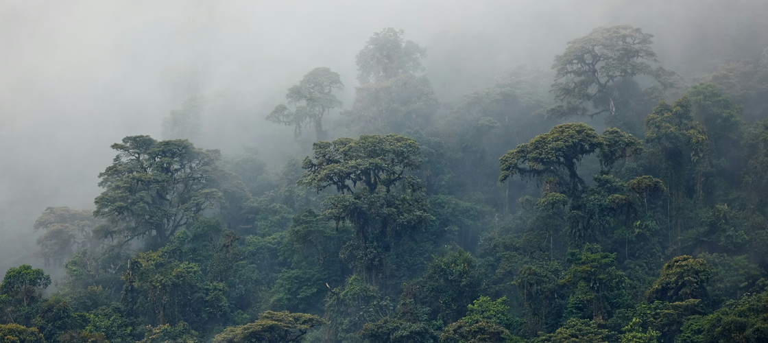 $tag_bloc_hermes[$cptHerm]->alt