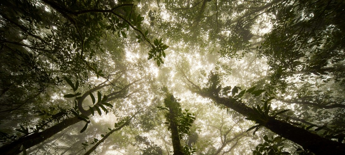 $tag_bloc_hermes[$cptHerm]->alt