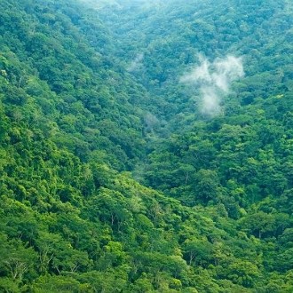 parc national de carara spot costa rica côte pacifique