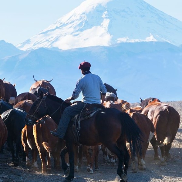Volcan Lanin