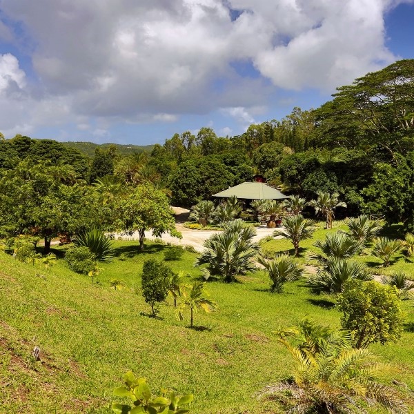 séjour au lakaz chamarel