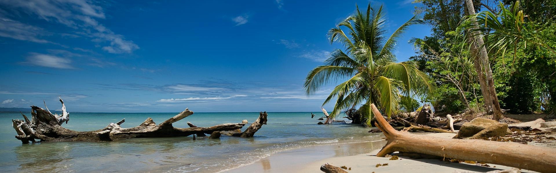 plage province de limon