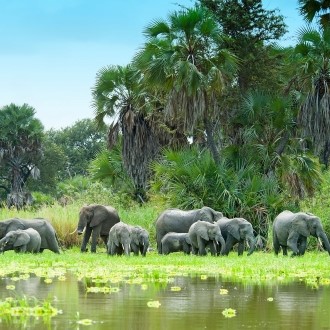 Selous