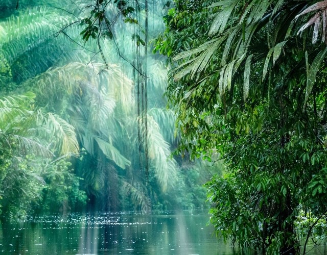 survol du parc national de tortuguero