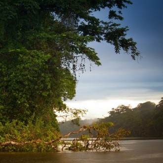tortuguero spot costa rica côte caraïbe