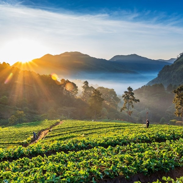PANORAMA DE LA THAÏLANDE