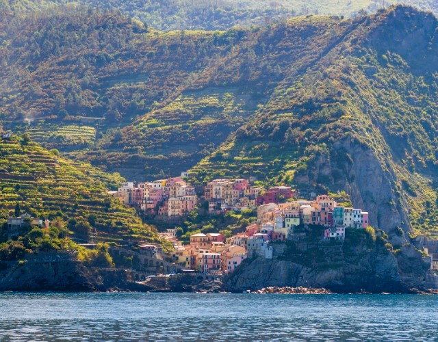 vignes en terrasse au dessus du vilage bariolé de Manarola dans les cinque terre