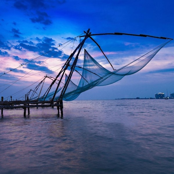 circuit le kerala en famille nature et sourires du sud
