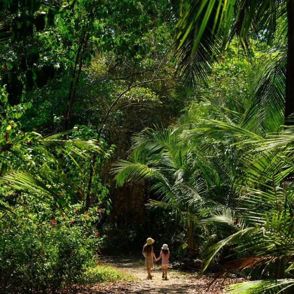 circuit portrait tropical d'une fugue en famille