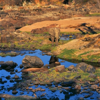 Parc national de Ruaha