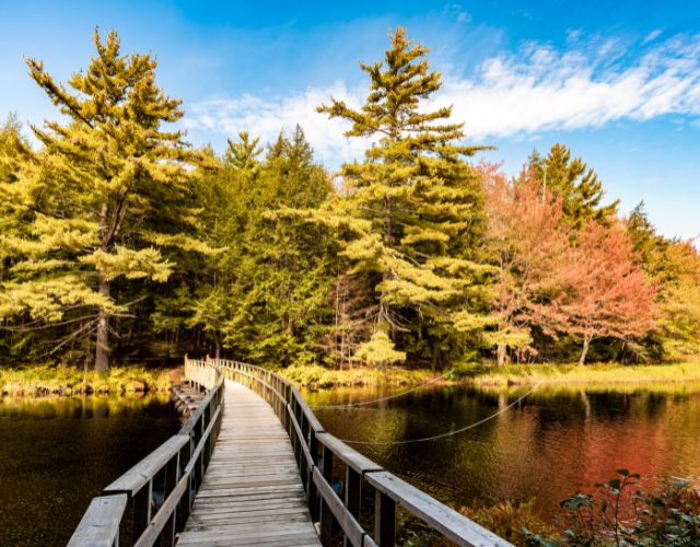randonnée au parc national de kejimkujik en nouvelle-écosse canada