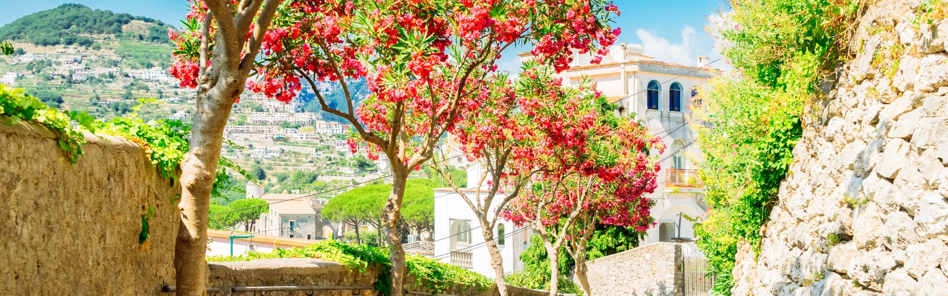 ruelle ensoleillée et fleurie dans la commune de ravello - côte amalfitaine