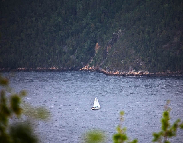 initiation à la voile sur le fleuve saint-laurent québec