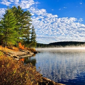 Parc Algonquin en Ontario