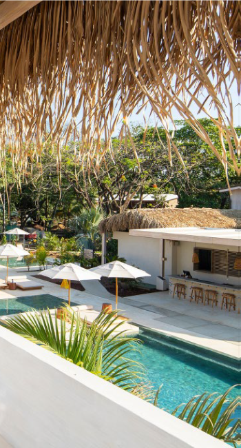 the gilded iguana surf hotel