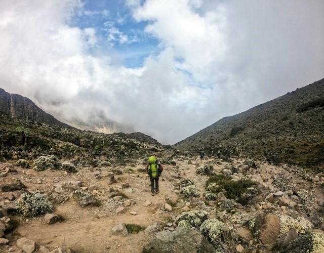 randonnée et pique-nique au plateau de shira au kilimandjaro en tanzanie