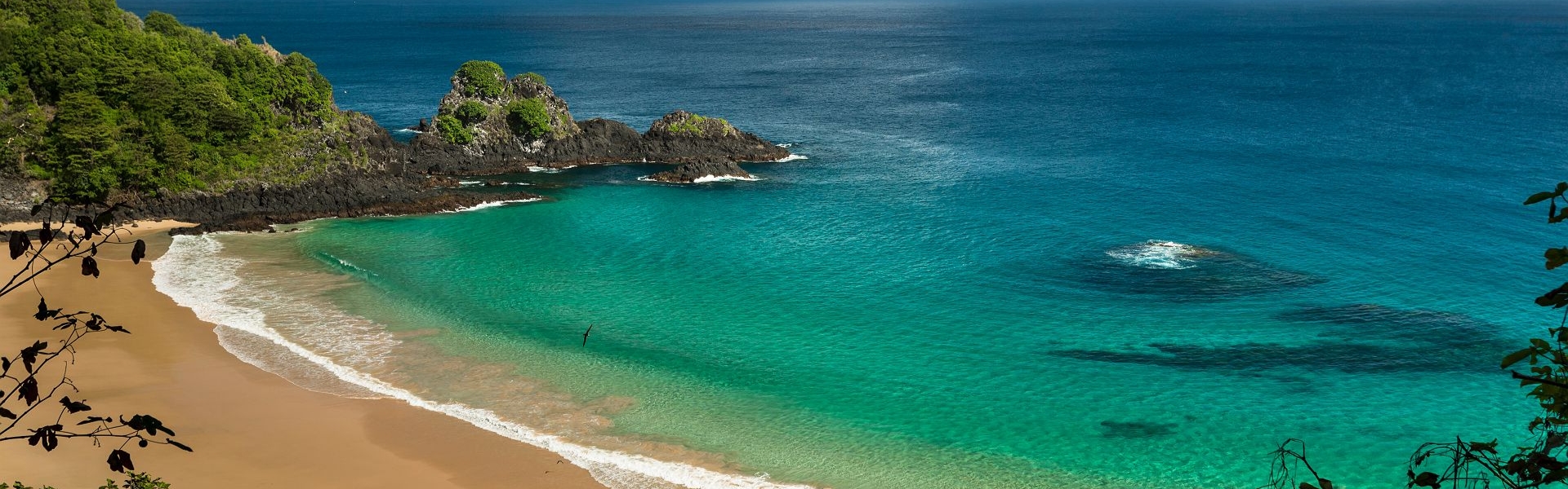 plage dorée bordée d'une eau turquoise sur l'île de fernando de noronha dans le nordeste au brésil