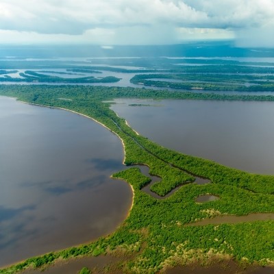 archipel des anavilhanas