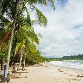 nosara spot nord du costa rica