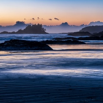 Tofino