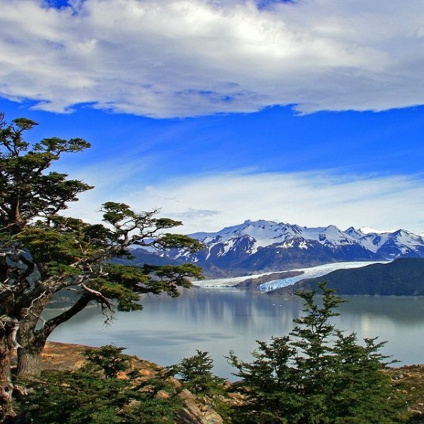 El Calafate