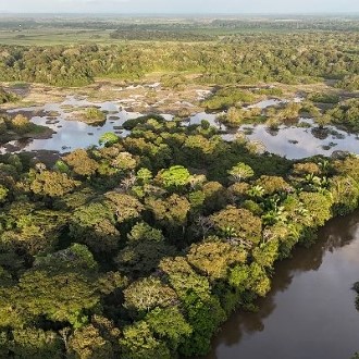 caño negro spot nord du costa rica