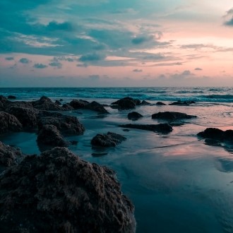 kozhikode spot kerala