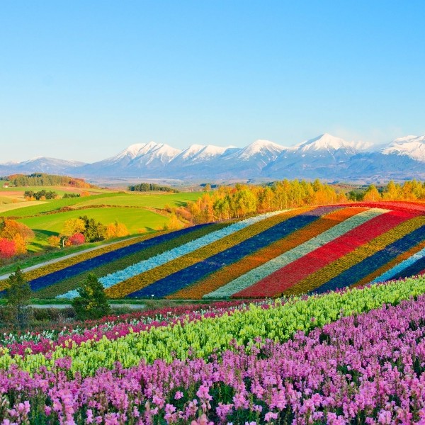hokkaido, l'île fantastique