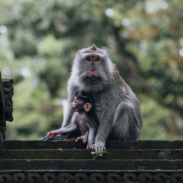 Bali lombok écrin d'amour