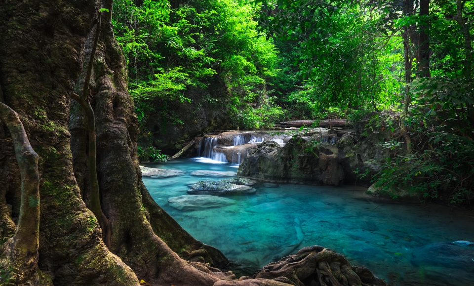 cascade et son eau turquoise dans la jungle tropicale du parc national d'erawan au kanchanaburi au nord de la thaïlande