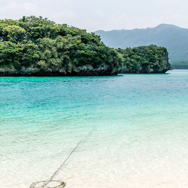 CARTOGRAPHIE DE LA BEAUTÉ