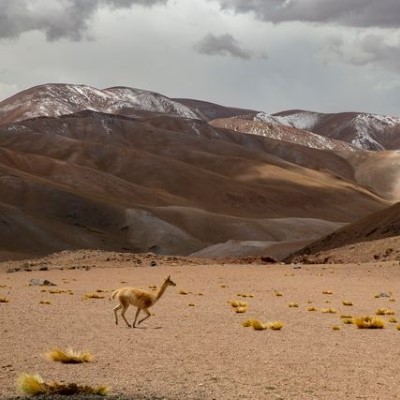 Voyage à Catamarca