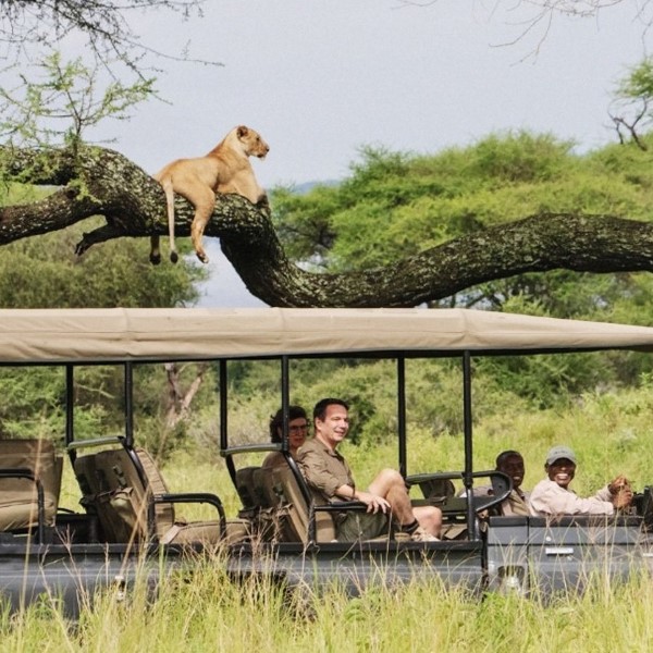 Circuit Zanzibar - Tanzanie : Hakuna Matata en Tribu, de la Terre des Masaï aux Lagons