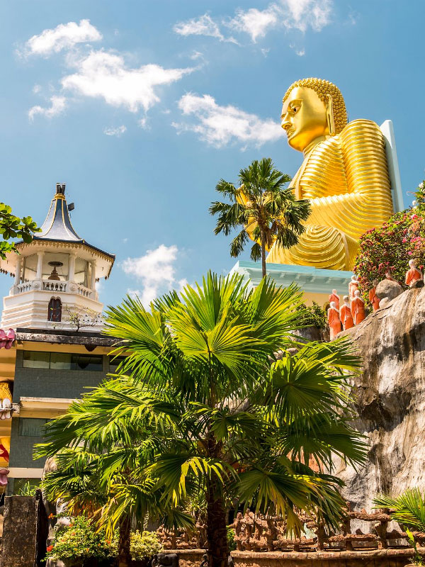 UN THÉ AVEC BOUDDHA