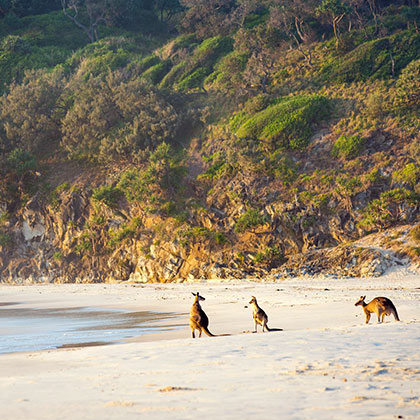 Océanie zone Australie